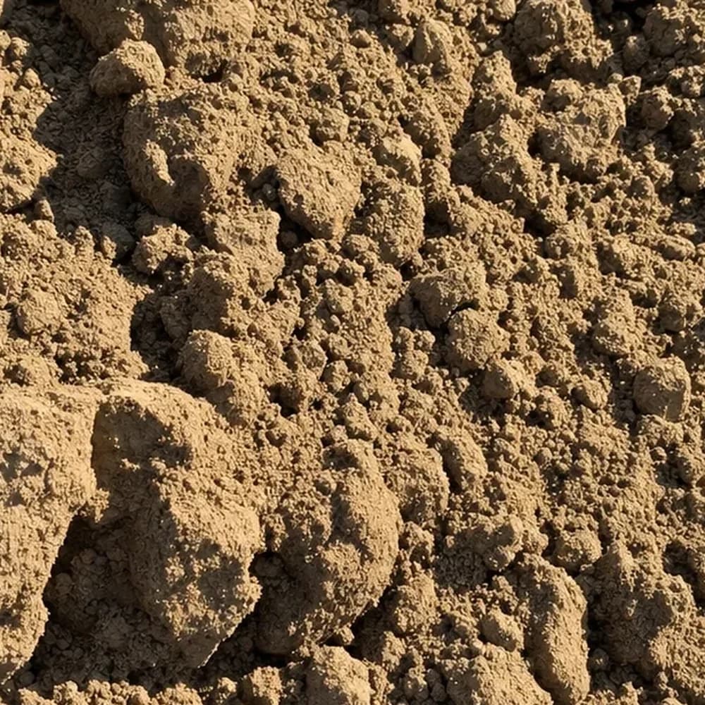 Fill Dirt