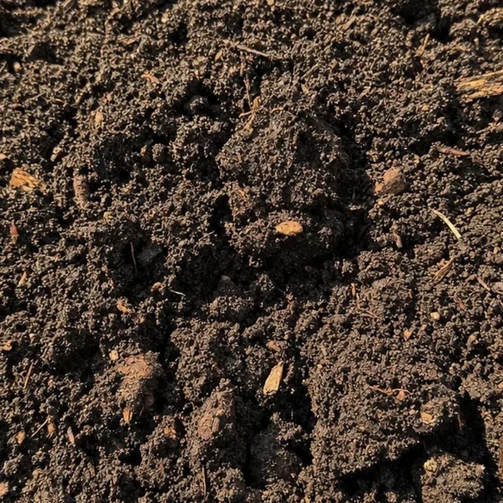 Garden Soil