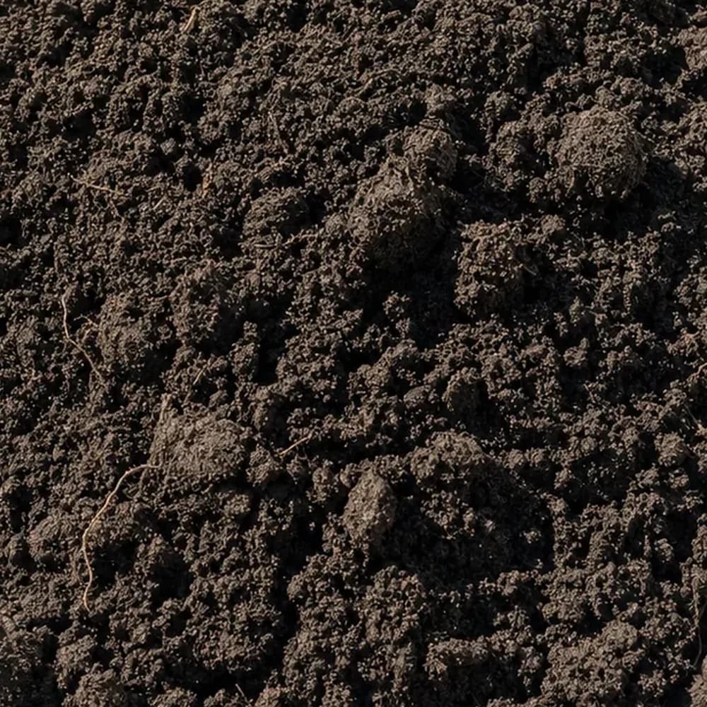 Top Soil
